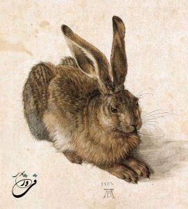 نقاشی آبرنگ خرگوش